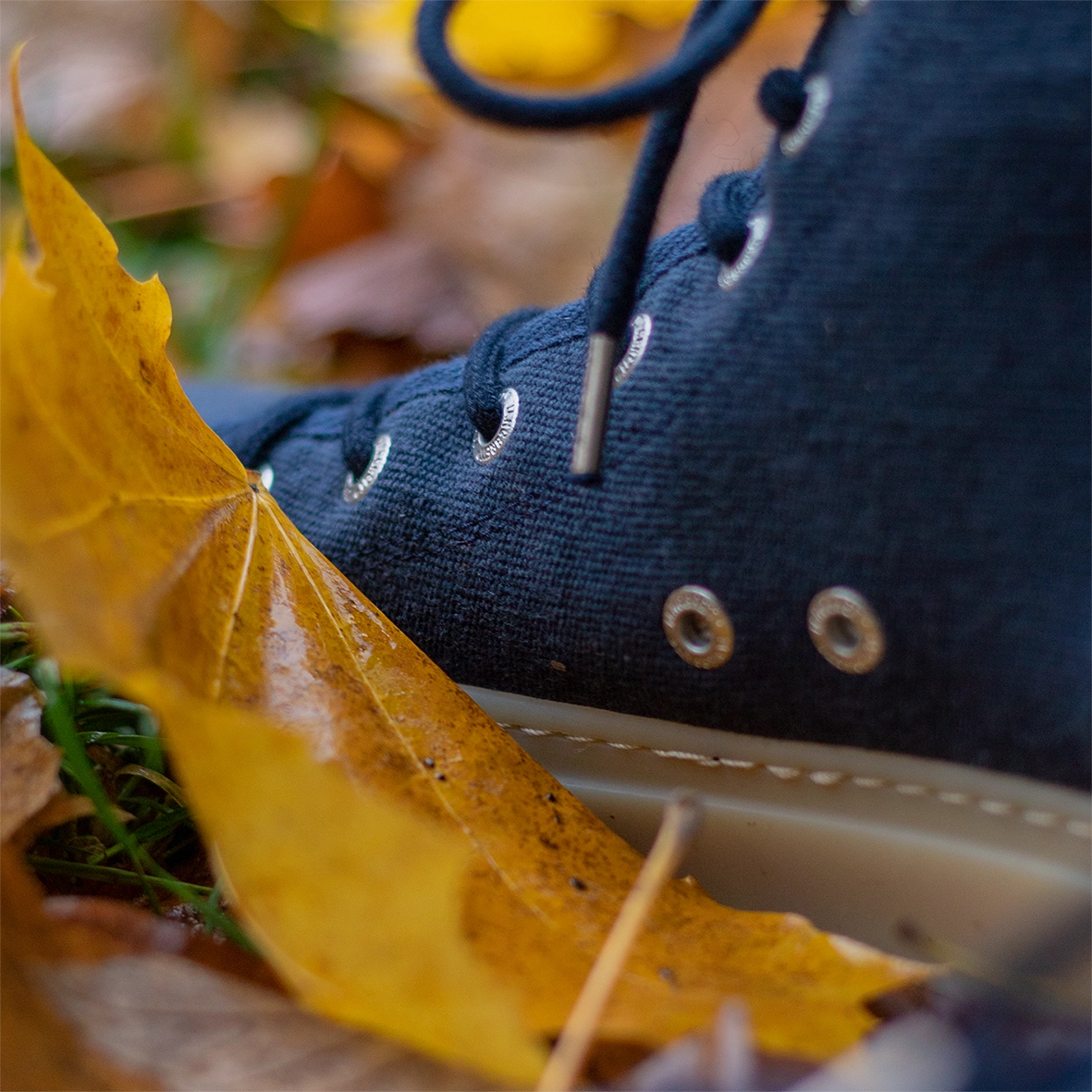 Bambus Sneaker GDR sneaker | vegan