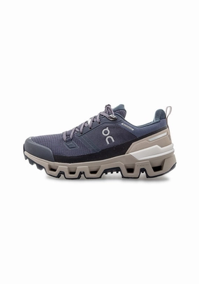 Laufschuhe Für Problemfüsse 73.98572 W Cloudwander WP navy/desert
