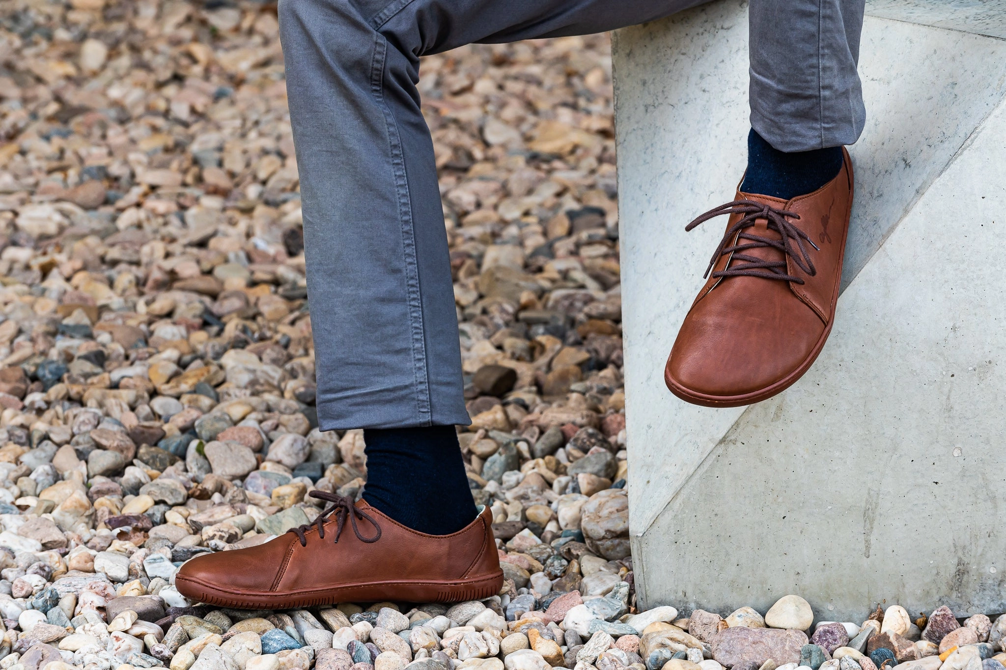 Sneaker Low Lacoste Aylla INCA (Herren) - brown/black