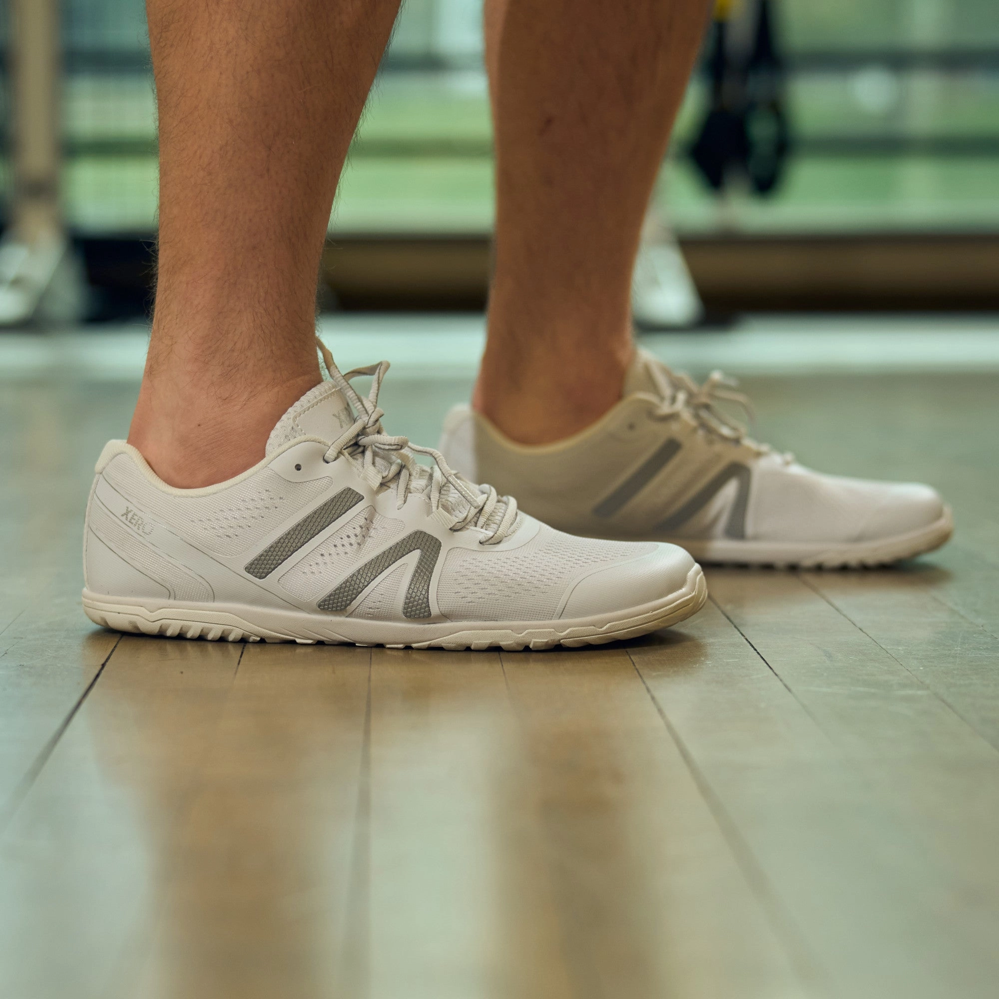 Laufschuhe Triumph 19 Xero Shoes HFS II Men - white