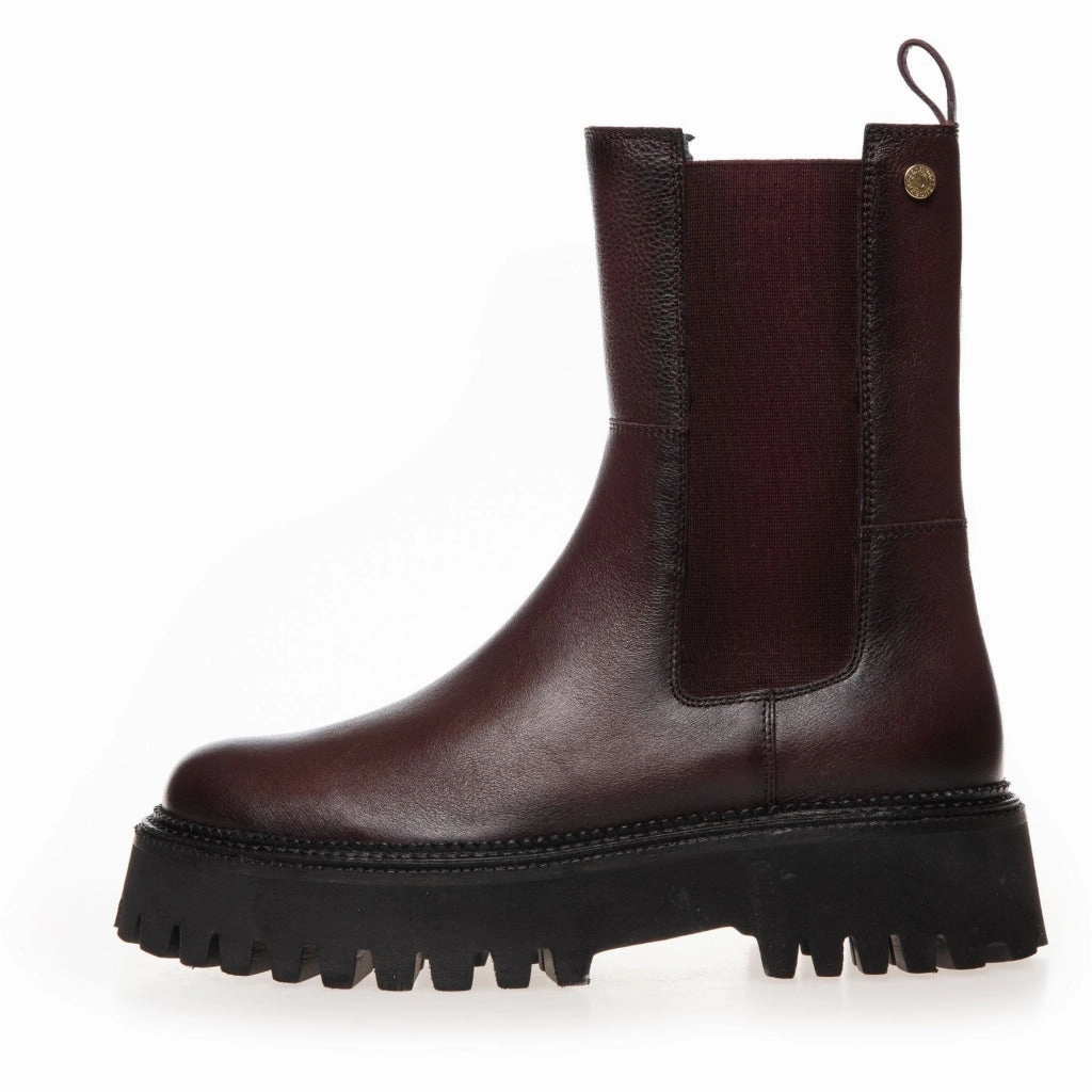 LEMON EDITION BORDEAUX - BORDEAUX (GRANATA) Chelsea Boots Enger Schaft