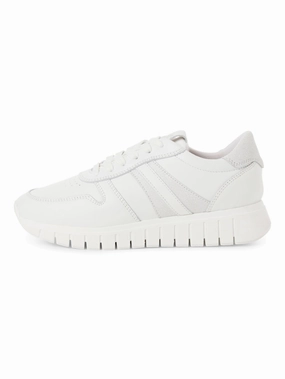 Sneaker Leder white comb Sneaker 43 5