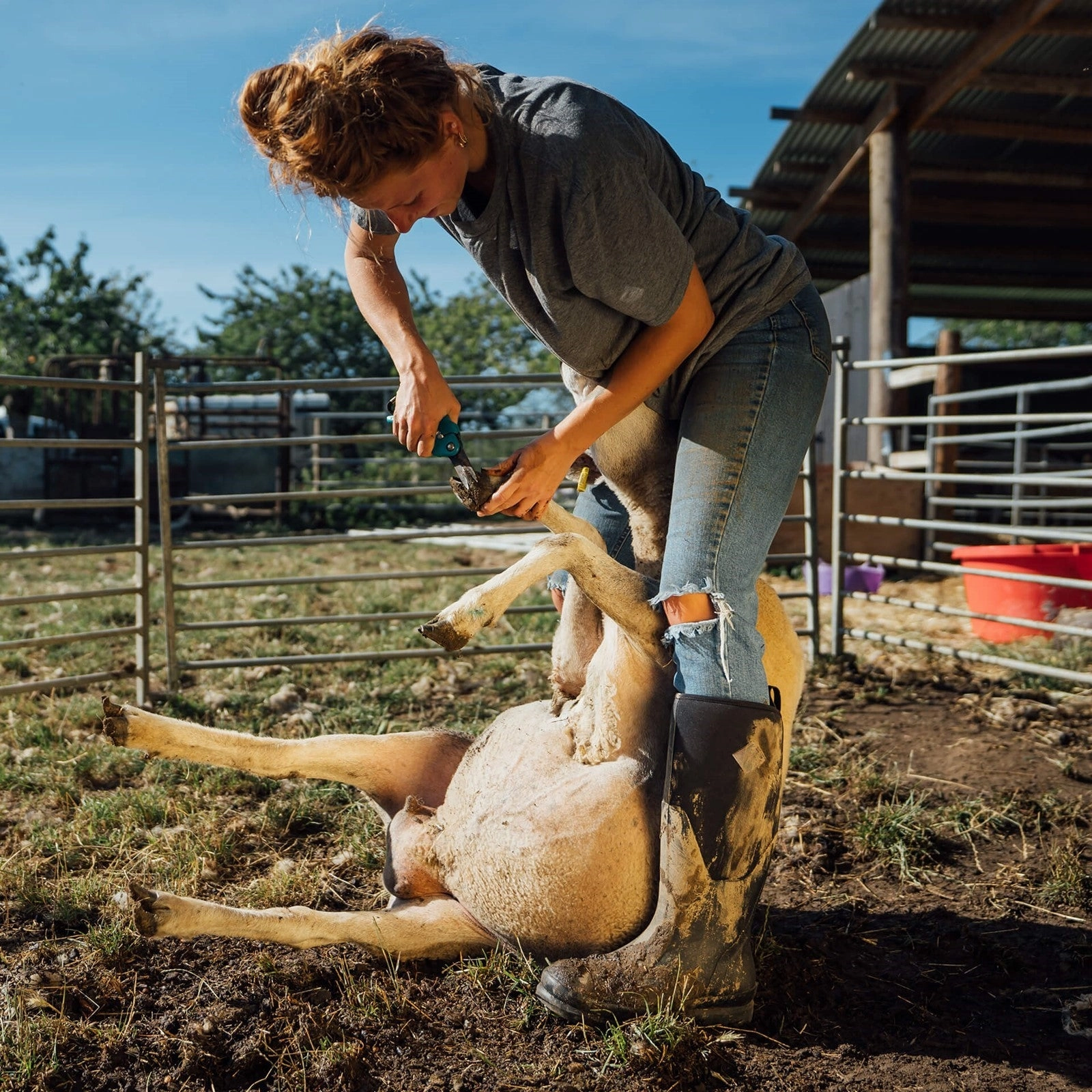Damen Chore Classic Stiefel | Black Stiefel Rv 4