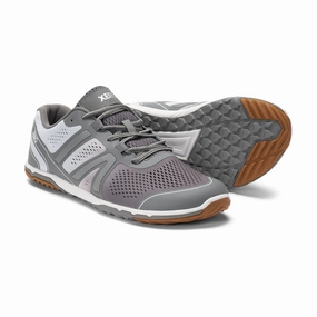 Laufschuhe Haltbarkeit Jahre Xero Shoes HFS II Men - gray/white