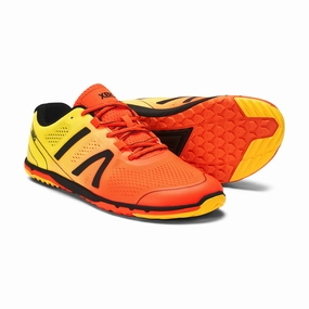 Shop Laufschuhe Xero Shoes HFS II Men - neon orange